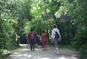 RANDONNÉE MILLE PATTES DANS LA VILLE ET LE PARC - 12 JUIN 2021